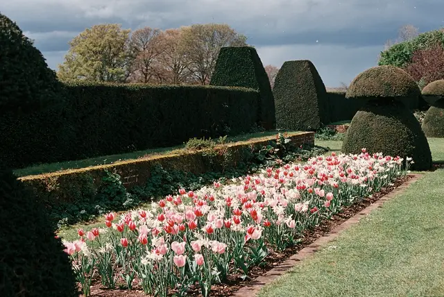 Formal garden with flower beds