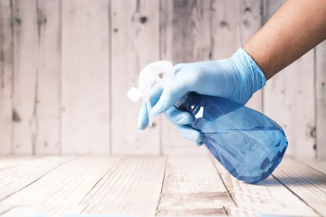 Domestic appliance service in the kitchen