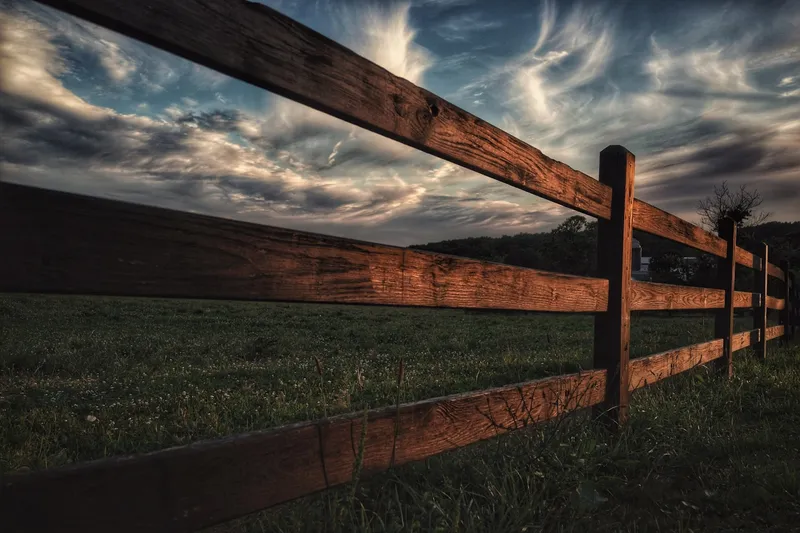 Fence repair and replacement panels