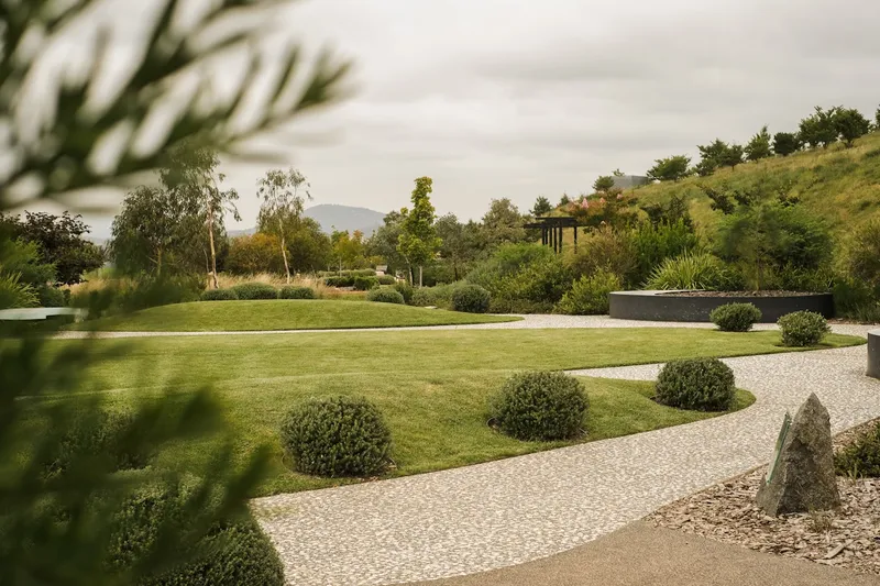 Managed trees and green space